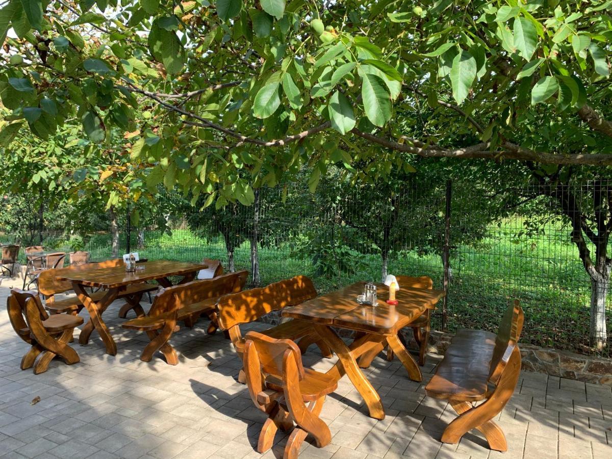 Hanu Lui Gica Spa Satu Mare Dış mekan fotoğraf