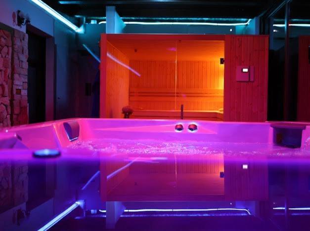 Hanu Lui Gica Spa Satu Mare Dış mekan fotoğraf