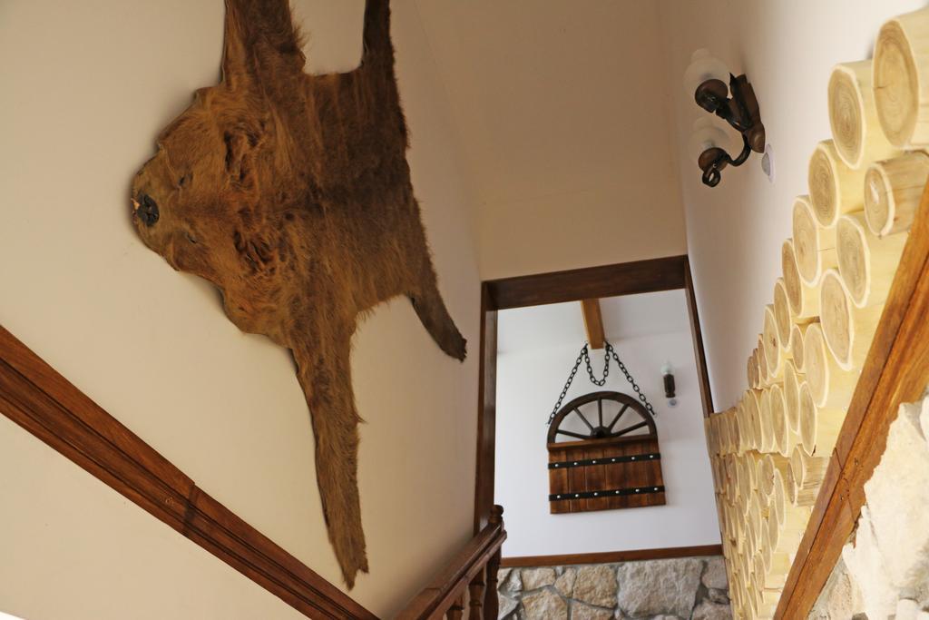 Hanu Lui Gica Spa Satu Mare Dış mekan fotoğraf