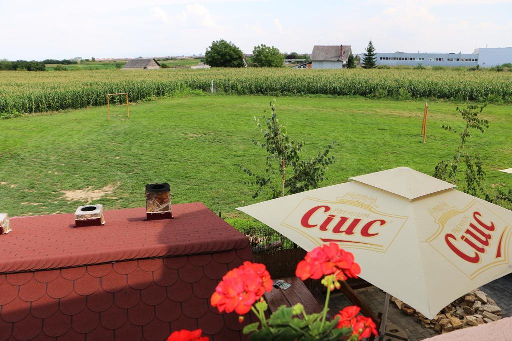Hanu Lui Gica Spa Satu Mare Dış mekan fotoğraf